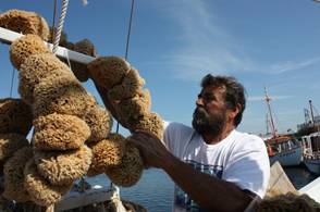 Photo of sponge Fisherman Taso Karastinos, who fears the oil spill will affect his industry.